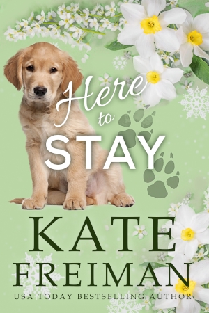 Here to Stay by Kate Freiman